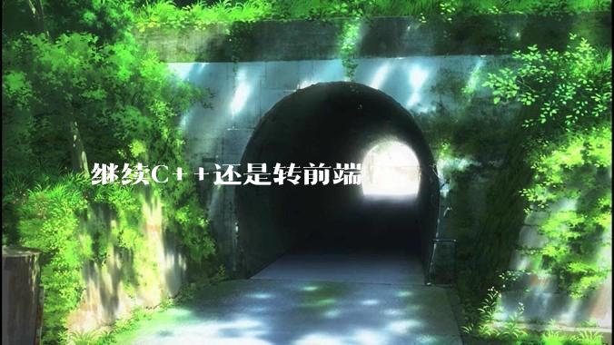 继续C++还是转前端?