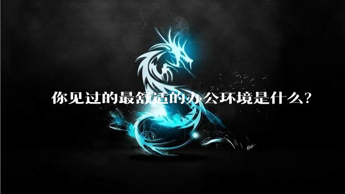 你见过的最舒适的办公环境是什么？