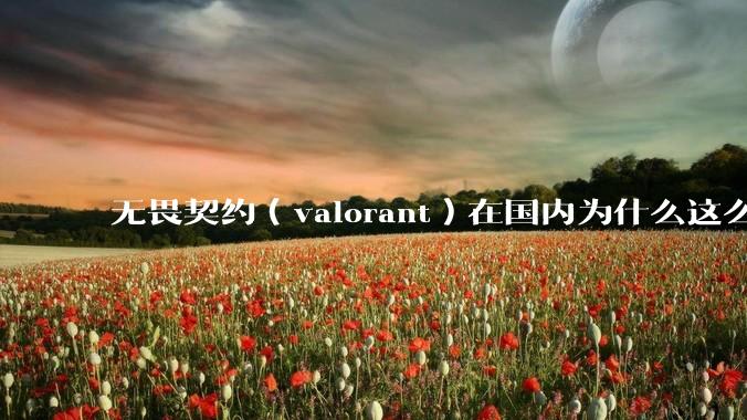无畏契约（valorant）在国内为什么这么火?