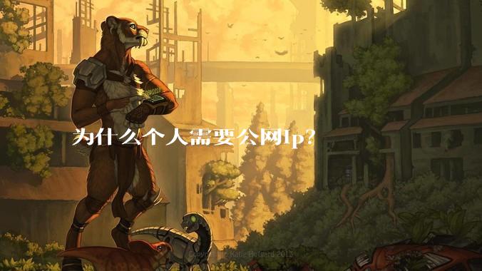为什么个人需要公网ip？
