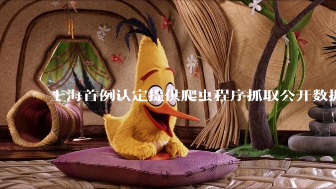 上海首例认定提供爬虫程序抓取公开数据构成提供侵入计算机信息系统程序罪案，该案件有哪些细节值得关注？