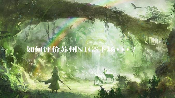 如何评价苏州N1GS下场***?