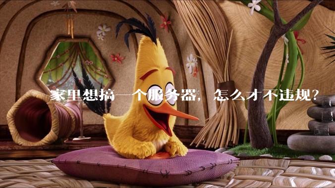 家里想搞一个服务器，怎么才不违规？
