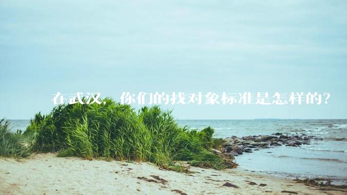 在武汉，你们的找对象标准是怎样的？