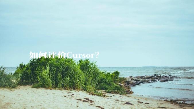 如何评价Cursor？