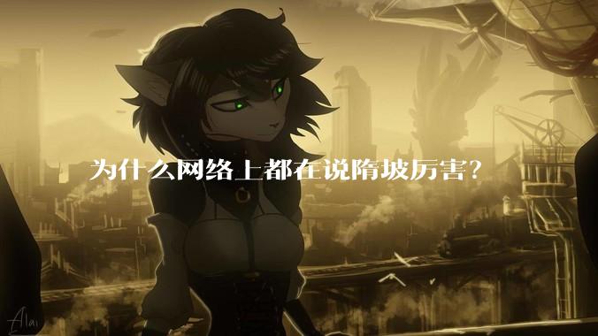 为什么网络上都在说隋坡厉害？