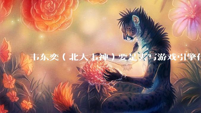 韦东奕（北大韦神）要是去写游戏引擎代码，能不能把虚幻引擎按在地上摩擦？数学好真能‘降维打击吗？