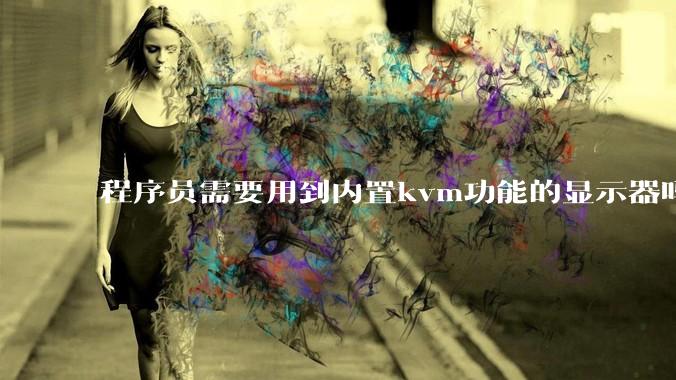 程序员需要用到内置kvm功能的显示器吗？或者是外置的kvm切换器吗？
