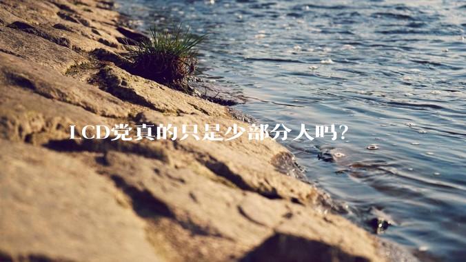 LCD党真的只是少部分人吗？