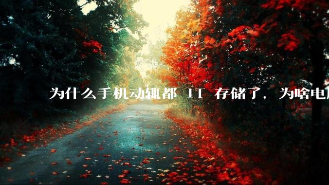 为什么手机动辄都 1T 存储了，为啥电脑还在死磕 512G 呢？