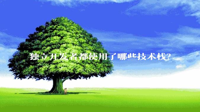 独立开发者都使用了哪些技术栈？