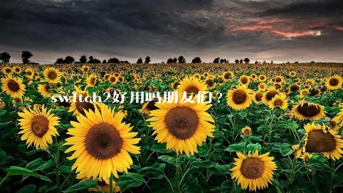switch2好用吗朋友们?