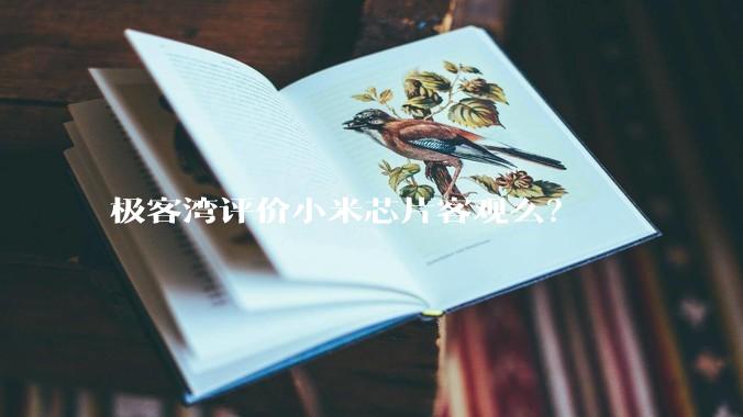 极客湾评价小米芯片客观么？