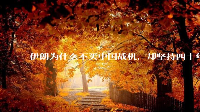 伊朗为什么不买中国战机，却坚持四十年用老旧的苏联米格29、美国F14雄猫战斗机?