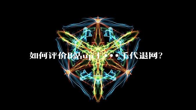 如何评价B站up主***千代退网？