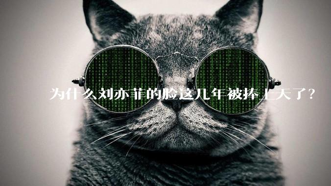 为什么刘亦菲的脸这几年被捧上天了？
