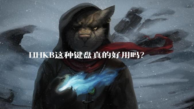 HHKB这种键盘真的好用吗？